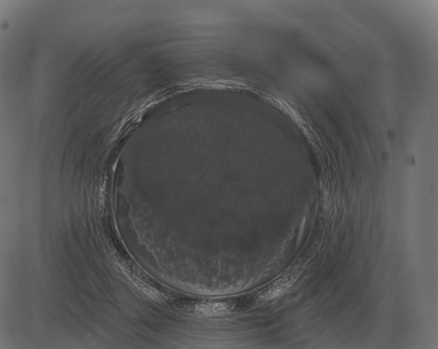 X0000084580357200703091843