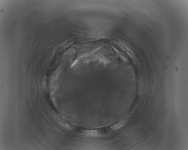 X0000084580361200703091843