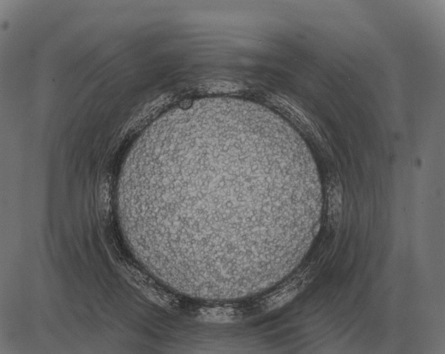 X0000084580362200703091843