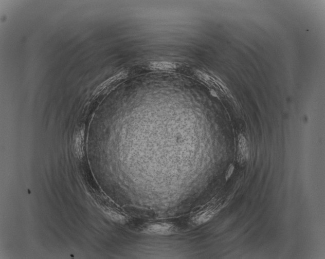 X0000084580364200703091843