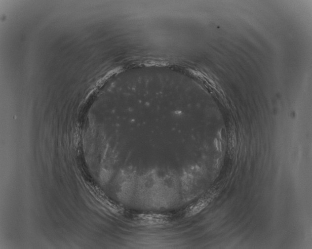 X0000084580367200703091843