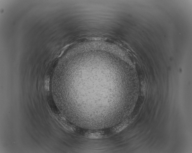 X0000084580368200703091843