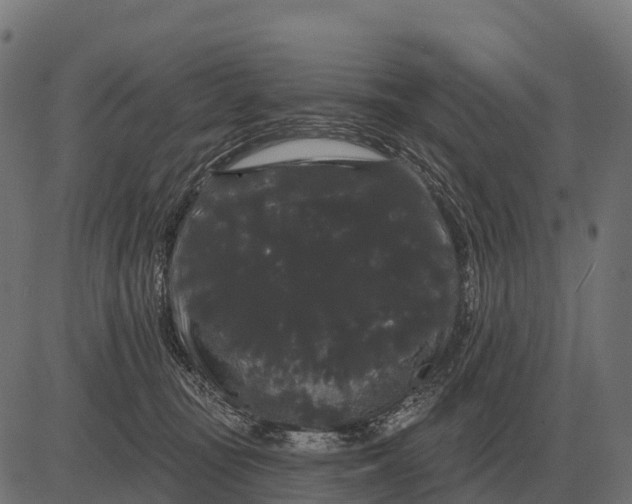 X0000084580371200703091843