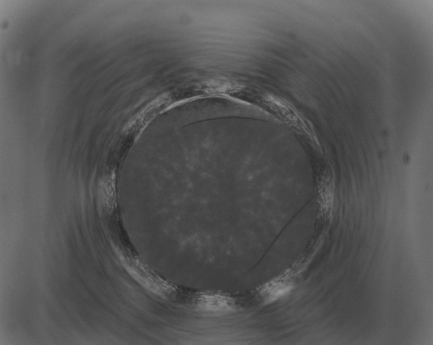 X0000084580376200703091843