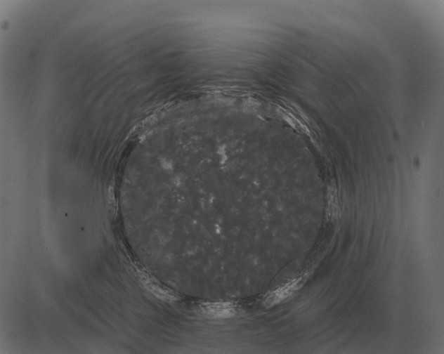 X0000084580377200703091843