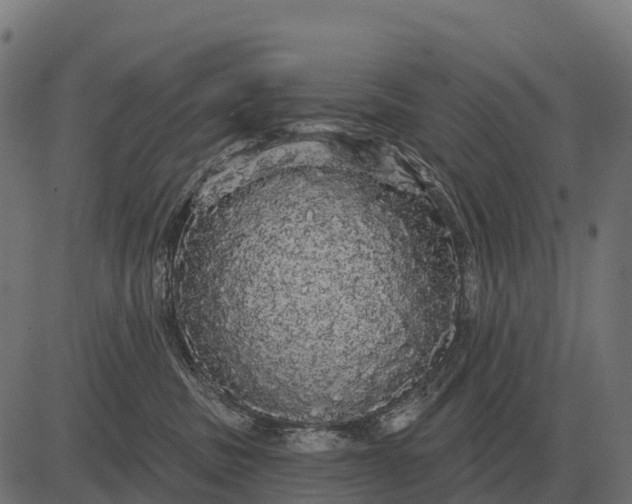 X0000084580379200703091843