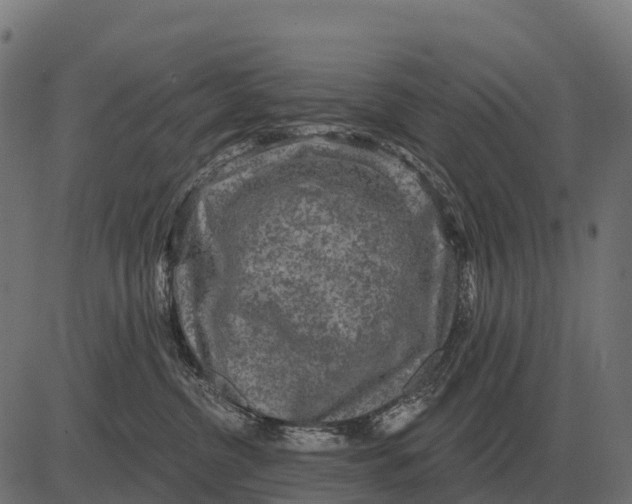 X0000084580380200703091843