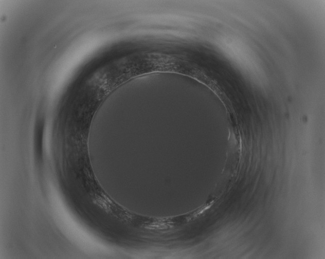 X0000084580383200703091843