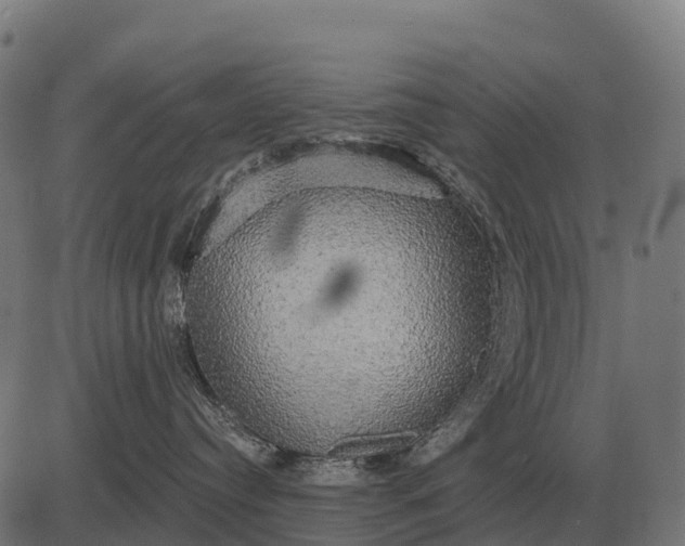 X0000084580384200703091843