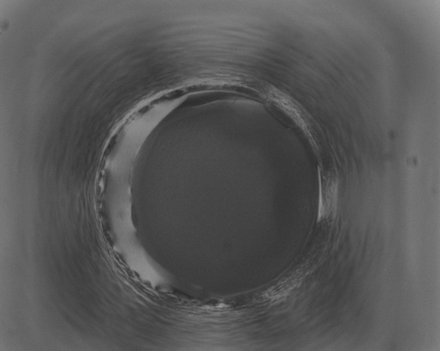 X0000084580387200703091842