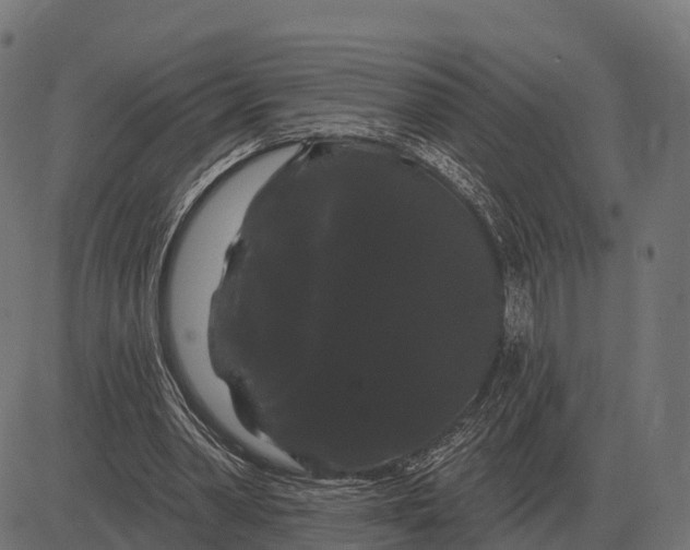 X0000084580390200703091842