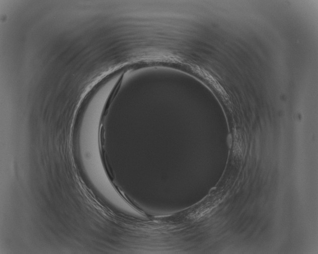 X0000084580391200703091842