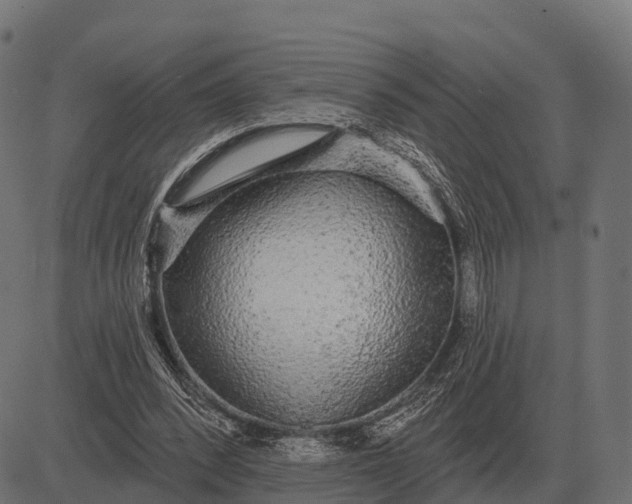 X0000084580392200703091842