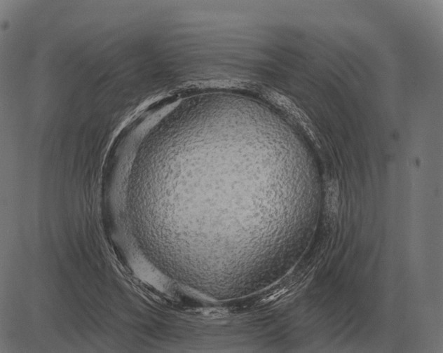X0000084580395200703091842