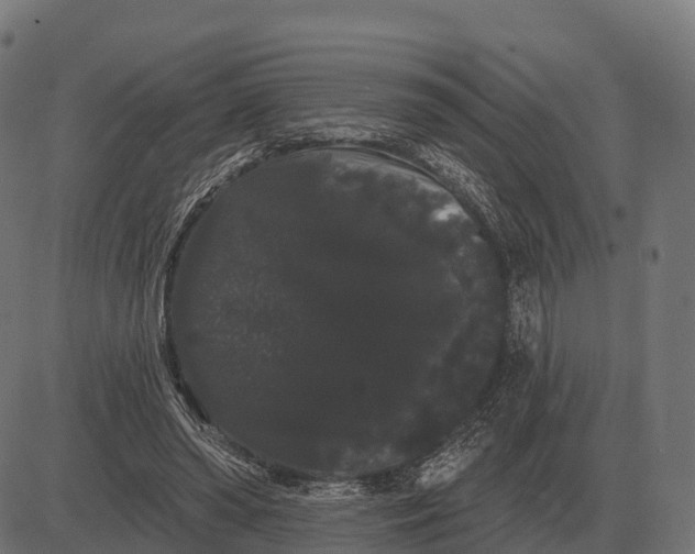 X0000084580398200703091842