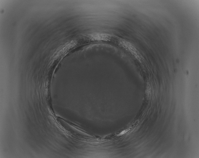 X0000084580402200703091842