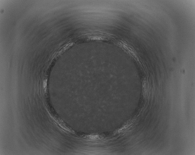 X0000084580406200703091842