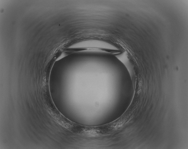 X0000084580407200703091842