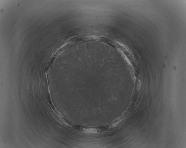 X0000084580409200703091842