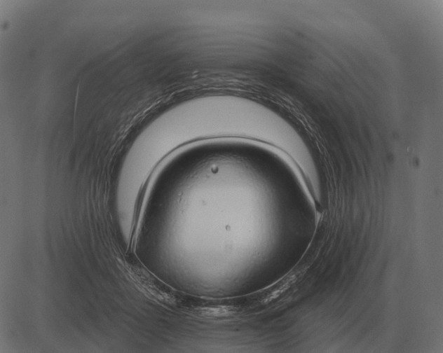 X0000084580411200703091842