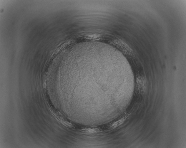 X0000084580412200703091842