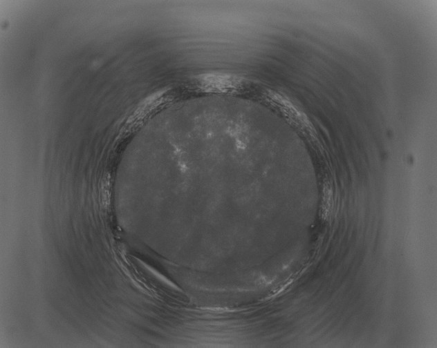 X0000084580413200703091842