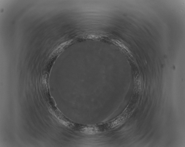 X0000084580415200703091842