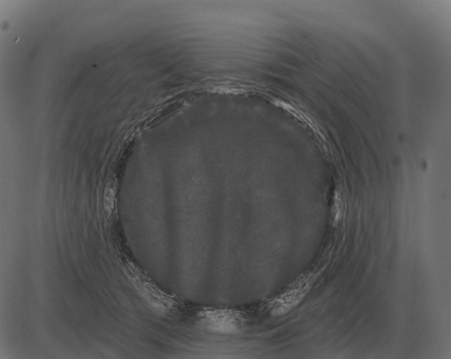 X0000084580417200703091842