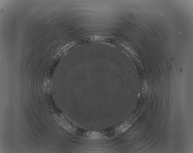 X0000084580419200703091842