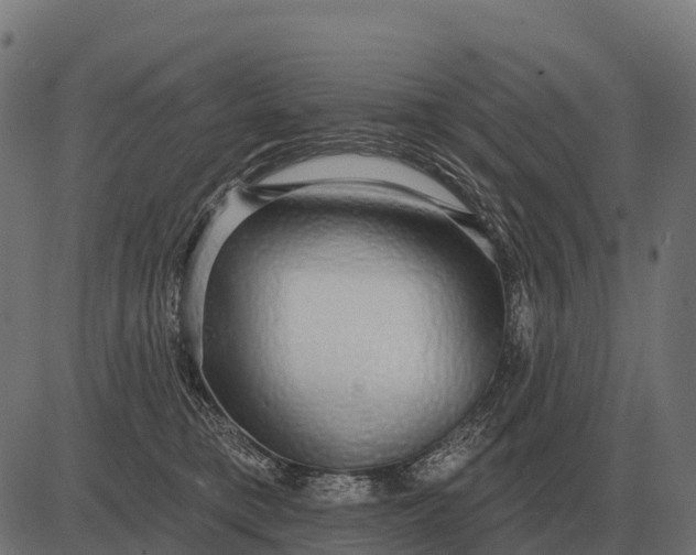 X0000084580421200703091842