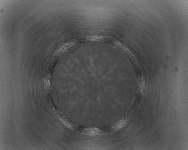 X0000084580427200703091842
