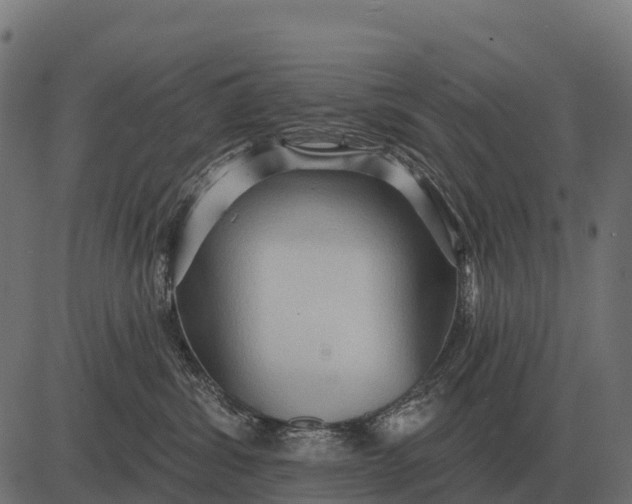 X0000084580428200703091842