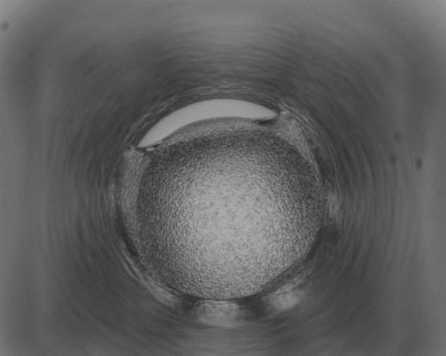 X0000084580429200703091842