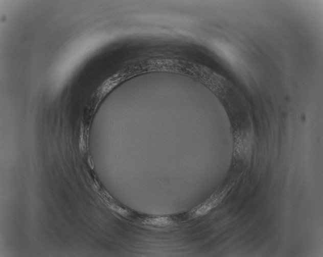 X0000084580431200703091841