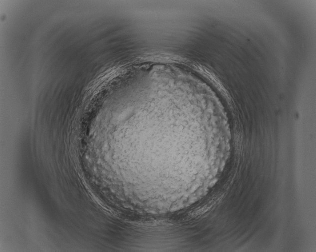 X0000084580433200703091841