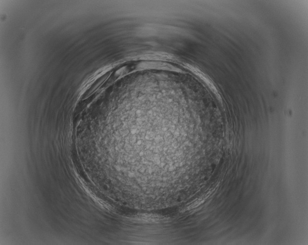 X0000084580437200703091841