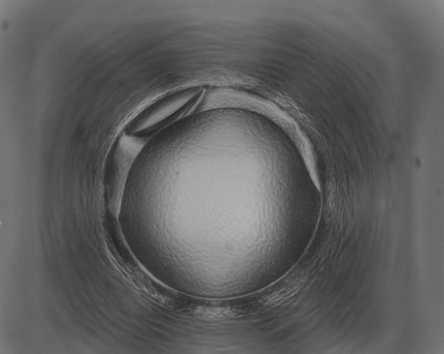 X0000084580440200703091841