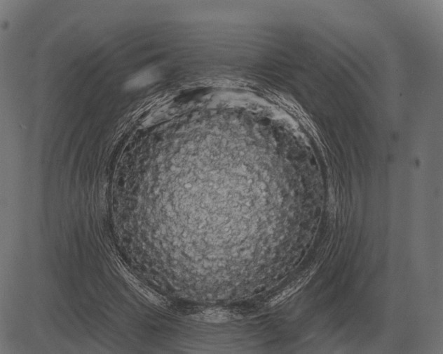 X0000084580441200703091841