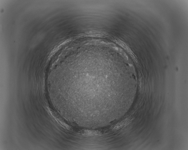 X0000084580442200703091841