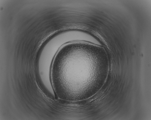 X0000084580444200703091841
