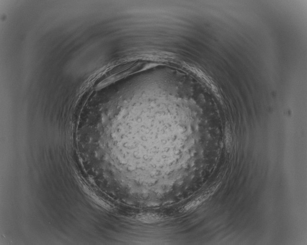 X0000084580445200703091841