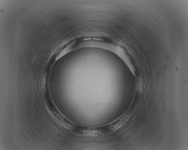X0000084580448200703091841