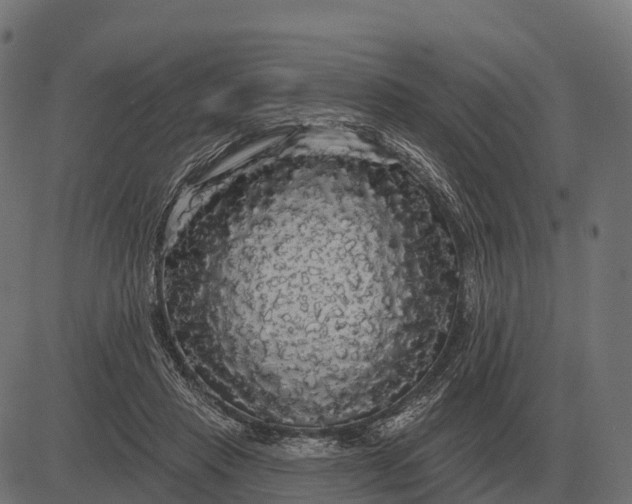 X0000084580453200703091841