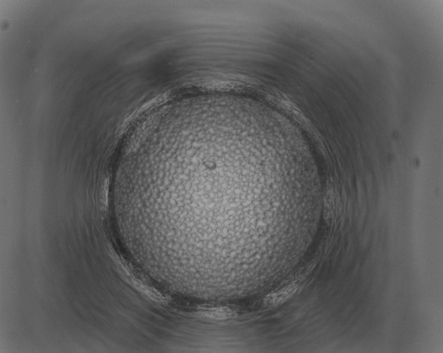X0000084580454200703091841