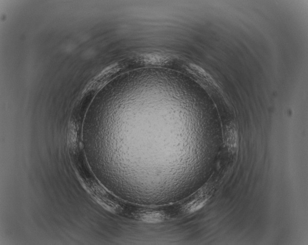 X0000084580456200703091841
