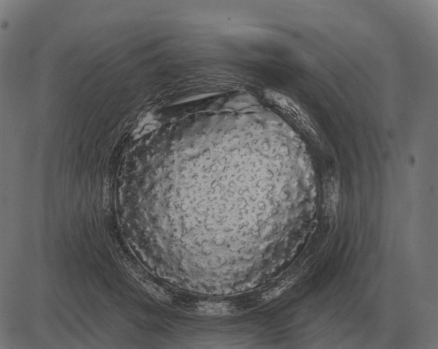 X0000084580457200703091841
