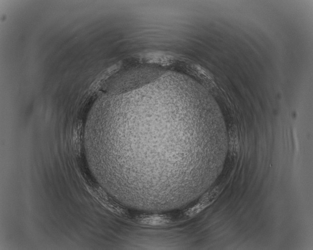 X0000084580460200703091841