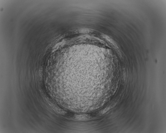 X0000084580461200703091841