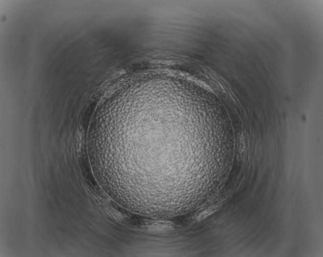 X0000084580463200703091841