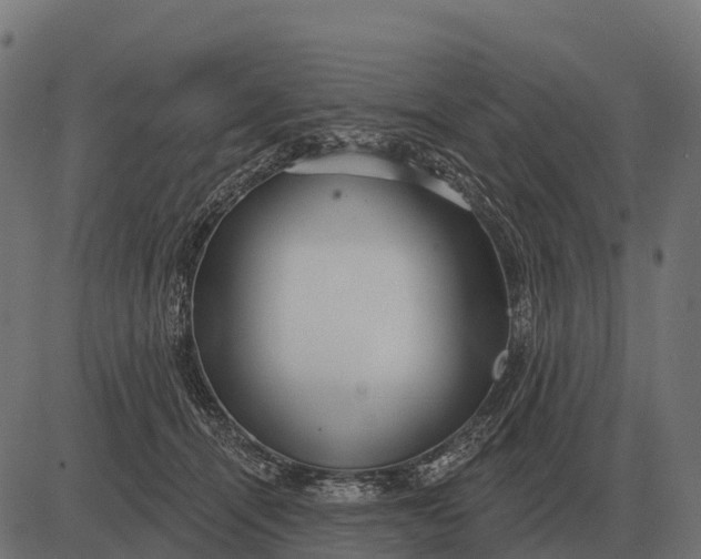 X0000084580464200703091841